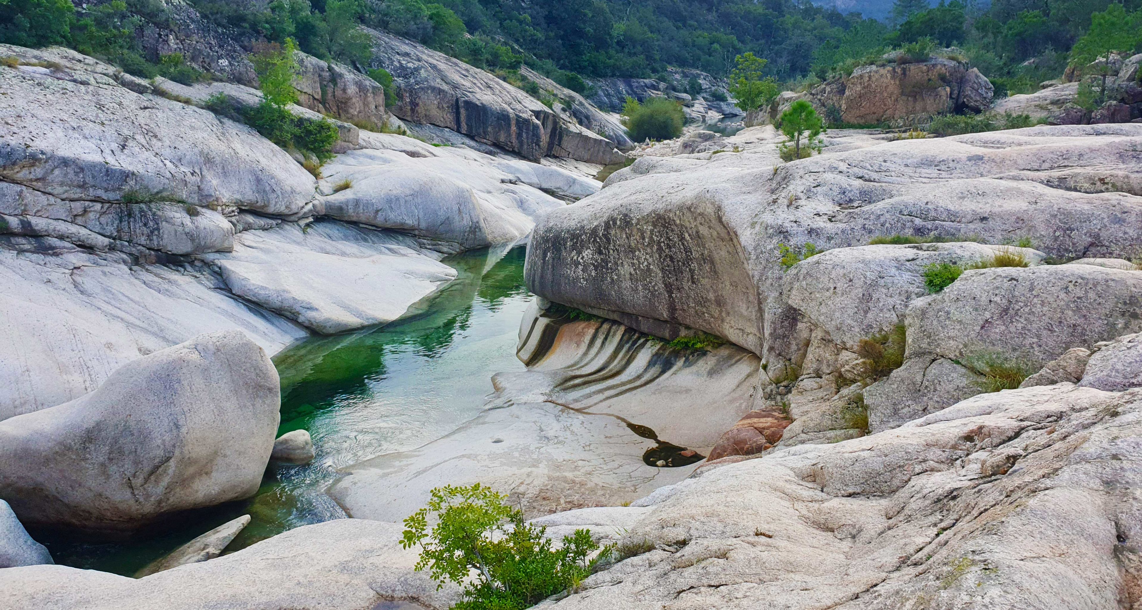 Piscines naturelles de Cavu : randonnée, restaurant, accrobranche